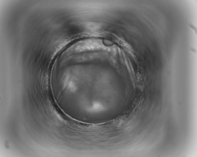 X0000093370012200710251204