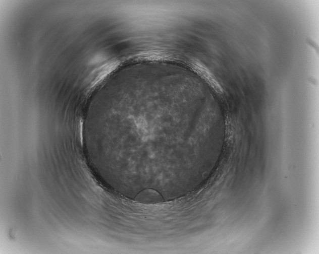 X0000093370014200710251204