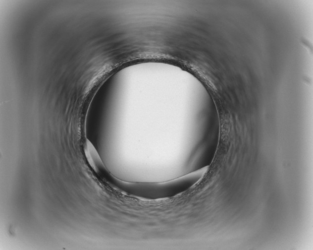 X0000093370015200710251204