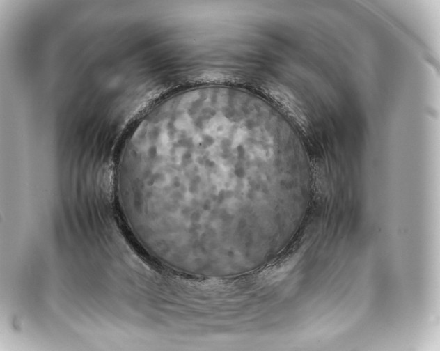 X0000093370016200710251204