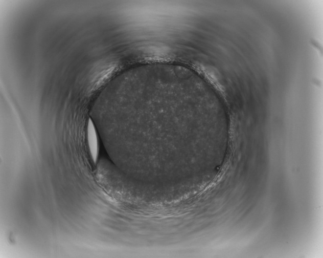 X0000093370017200710251204