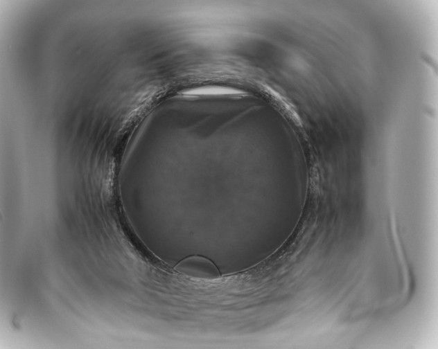 X0000093370018200710251204