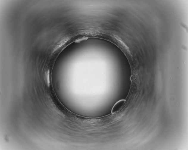 X0000093370020200710251204