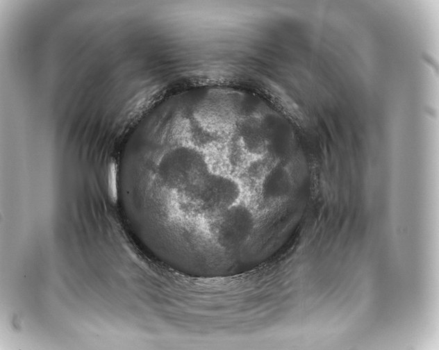 X0000093370022200710251204