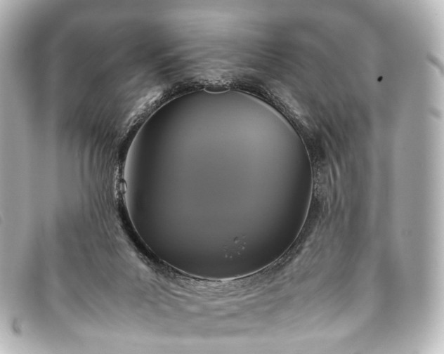 X0000093370023200710251204