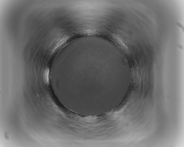 X0000093370024200710251204