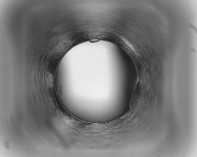 X0000093370025200710251204