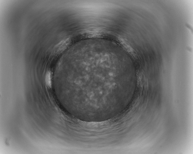 X0000093370026200710251204