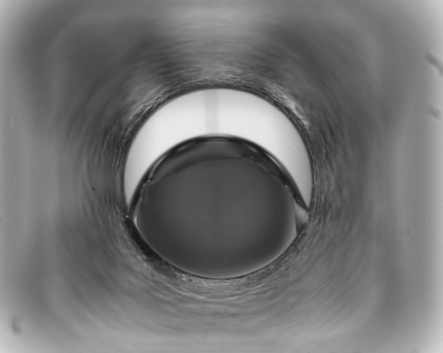 X0000093370027200710251204