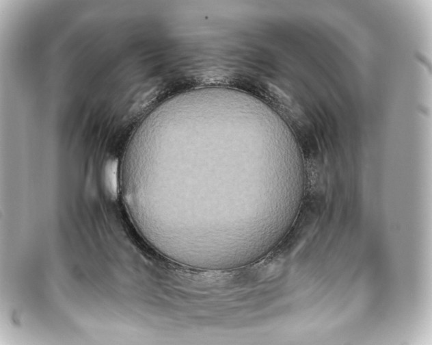 X0000093370028200710251204