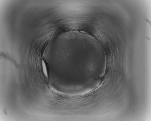 X0000093370029200710251204