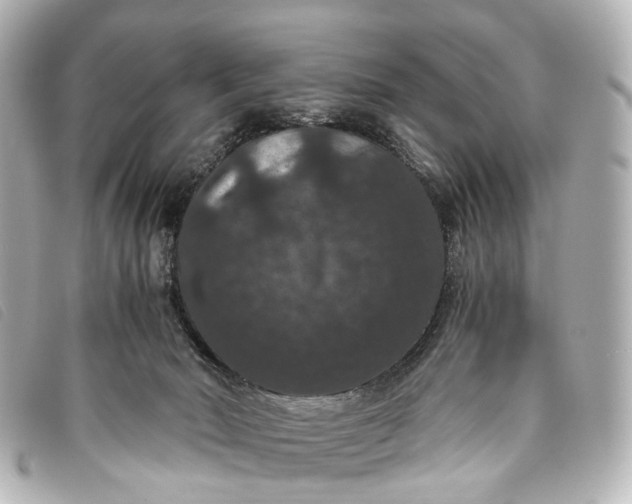 X0000093370030200710251204