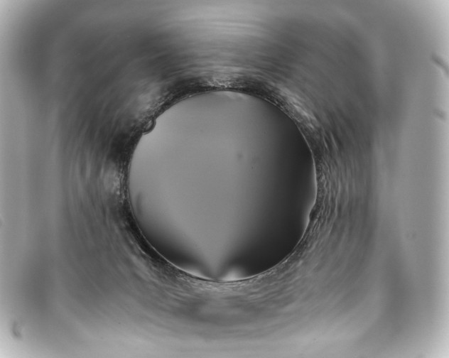 X0000093370031200710251204