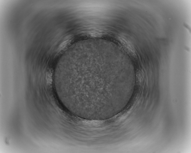 X0000093370032200710251204