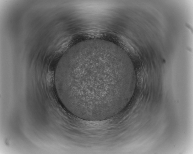 X0000093370034200710251204