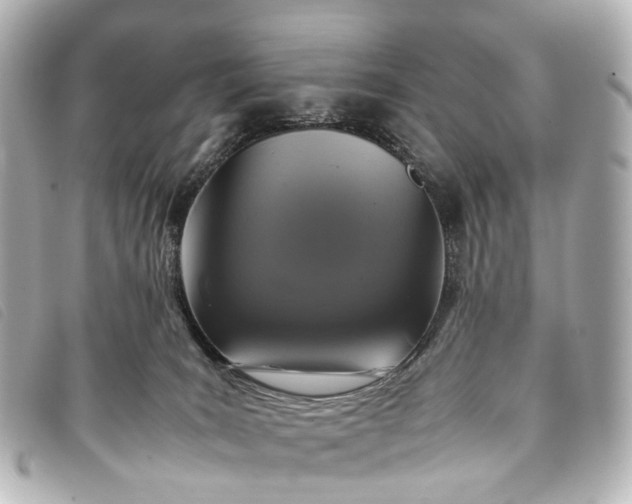 X0000093370035200710251204