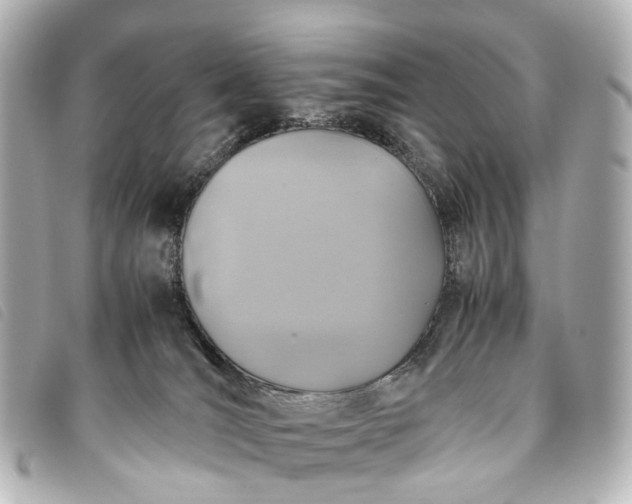 X0000093370036200710251204