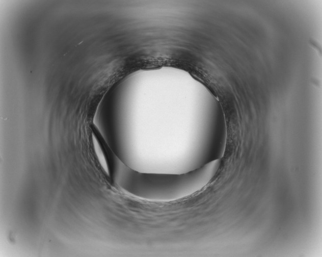 X0000093370037200710251204