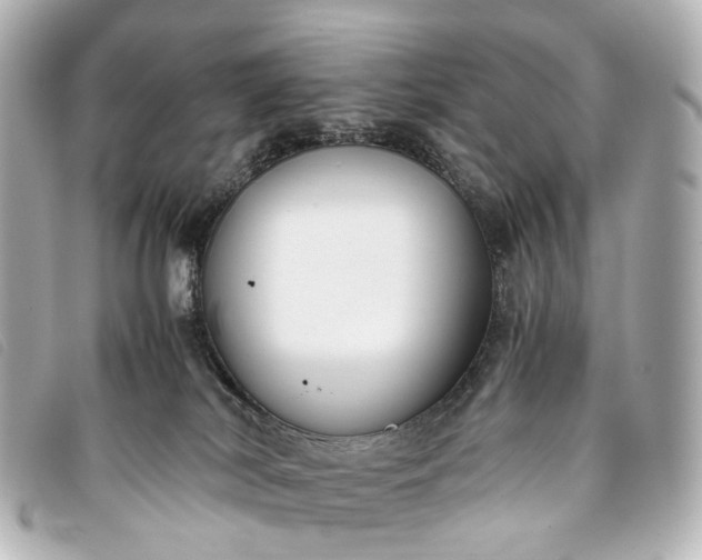 X0000093370038200710251204