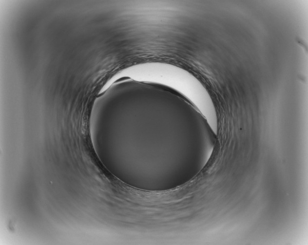 X0000093370039200710251204