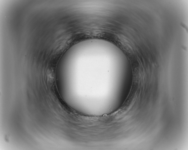 X0000093370040200710251204