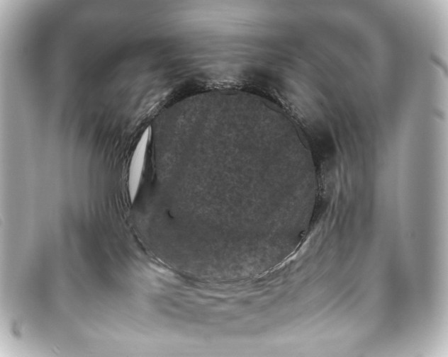 X0000093370041200710251204