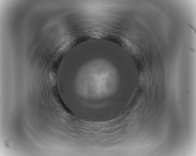 X0000093370043200710251204