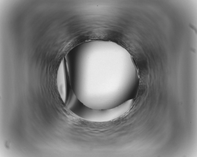 X0000093370045200710251204