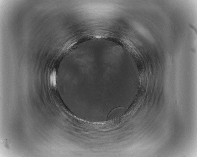 X0000093370046200710251204