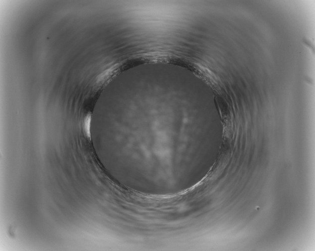 X0000093370047200710251204