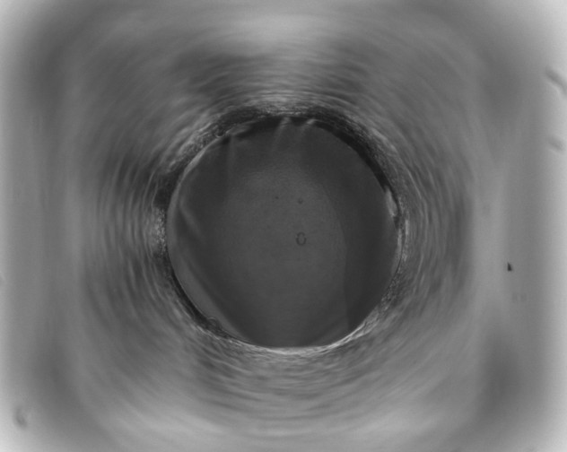 X0000093370048200710251203