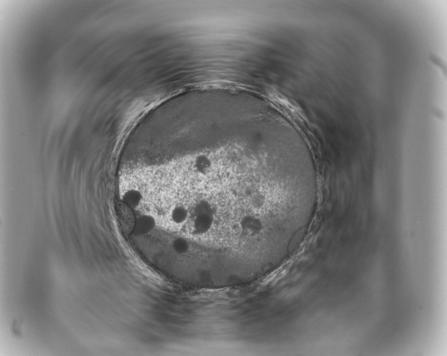 X0000093370049200710251203