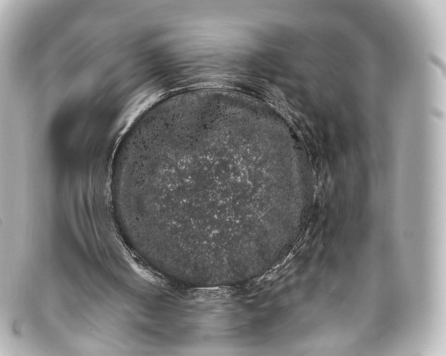 X0000093370050200710251203