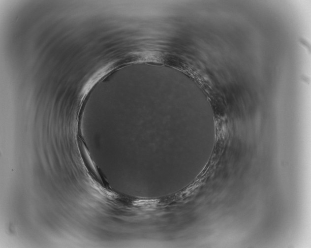 X0000093370051200710251203