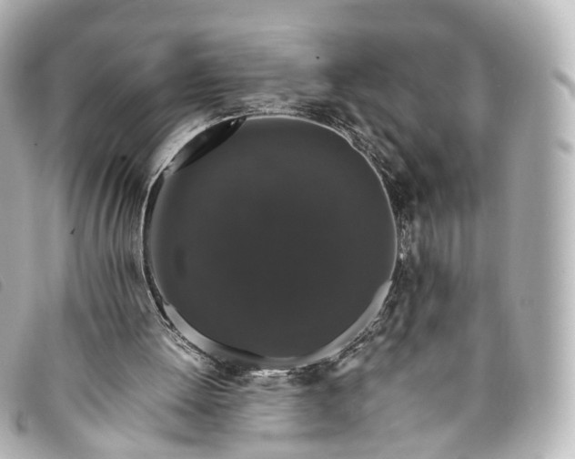 X0000093370052200710251203