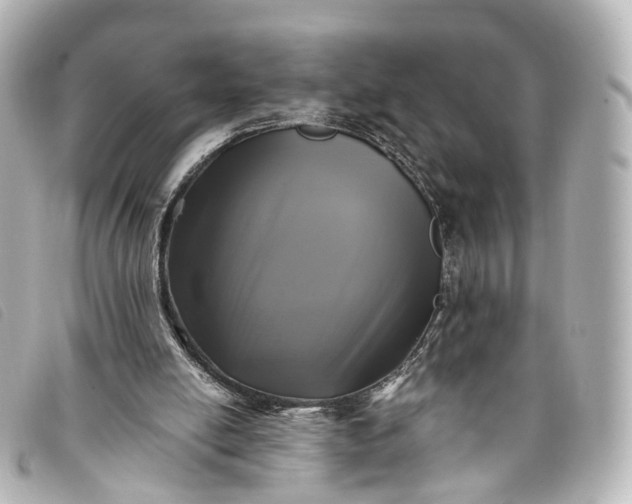 X0000093370054200710251203