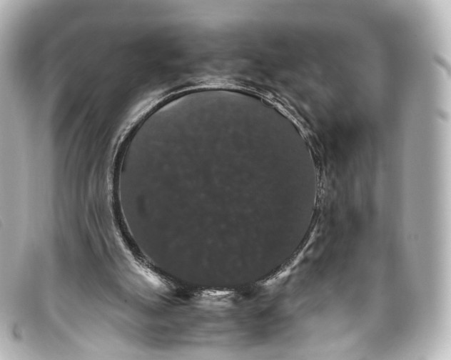 X0000093370055200710251203