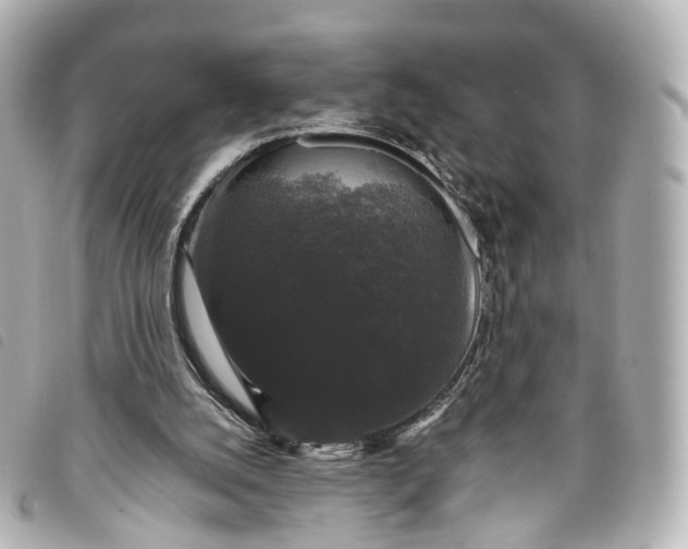 X0000093370056200710251203