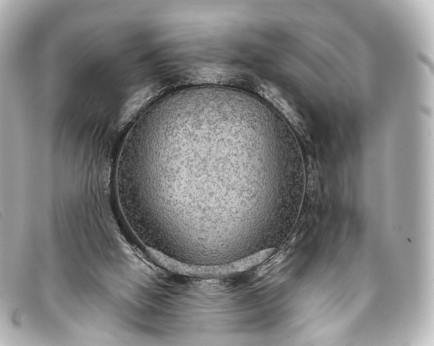 X0000093370058200710251203