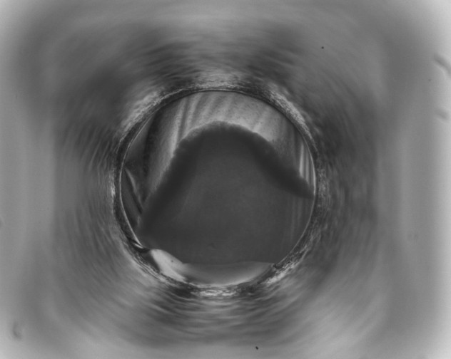 X0000093370059200710251203