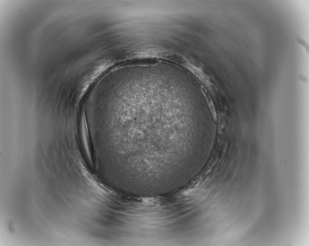 X0000093370060200710251203