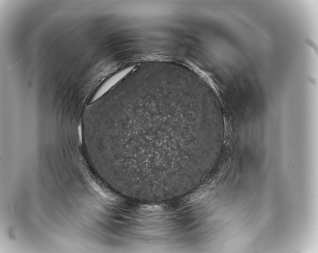 X0000093370061200710251203