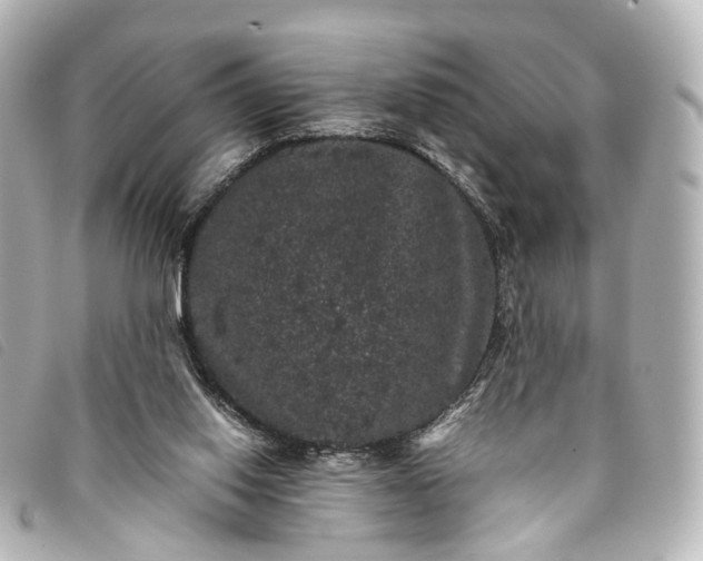 X0000093370062200710251203