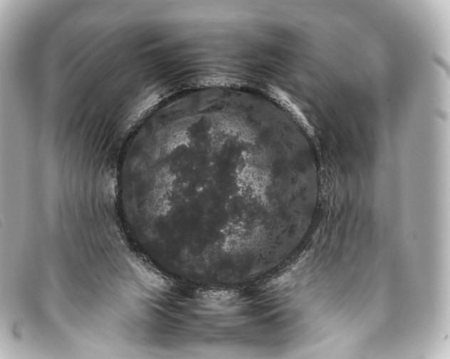 X0000093370063200710251203