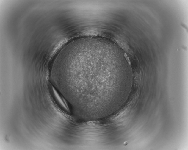 X0000093370064200710251203