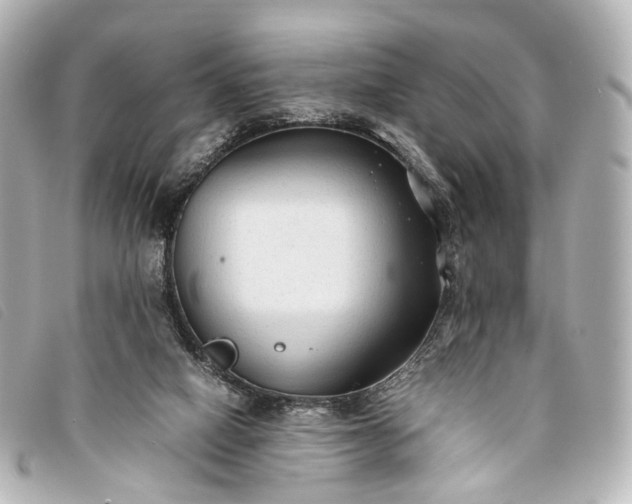 X0000093370066200710251203