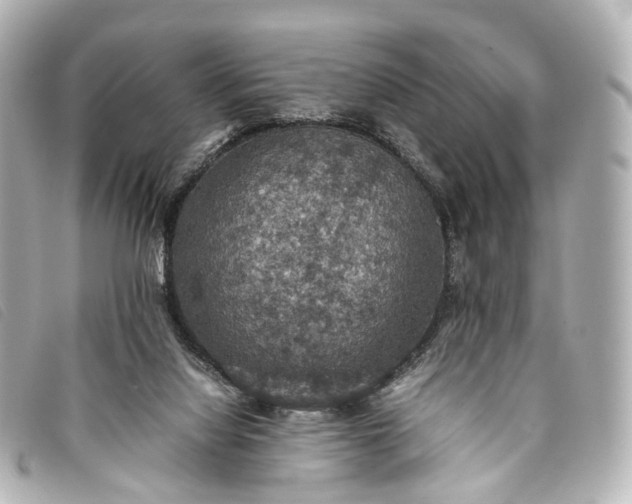 X0000093370068200710251203