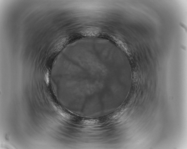 X0000093370069200710251203