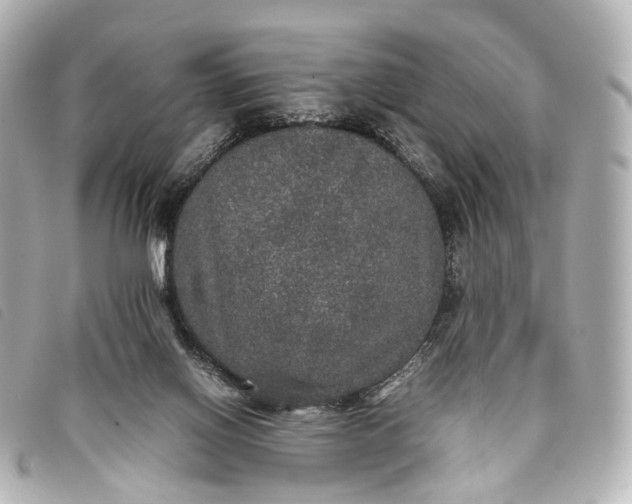 X0000093370070200710251203