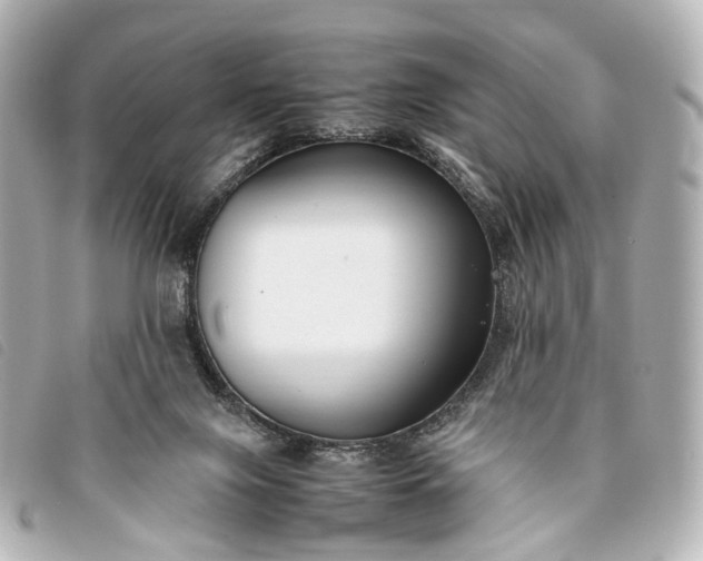 X0000093370071200710251203